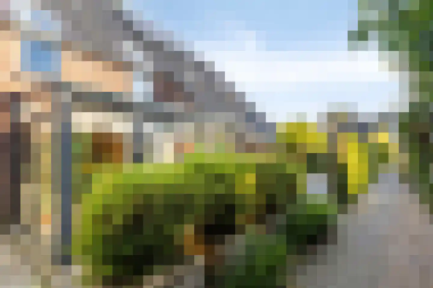 Ter Borch 22 Zuidlaren thumbnail 8