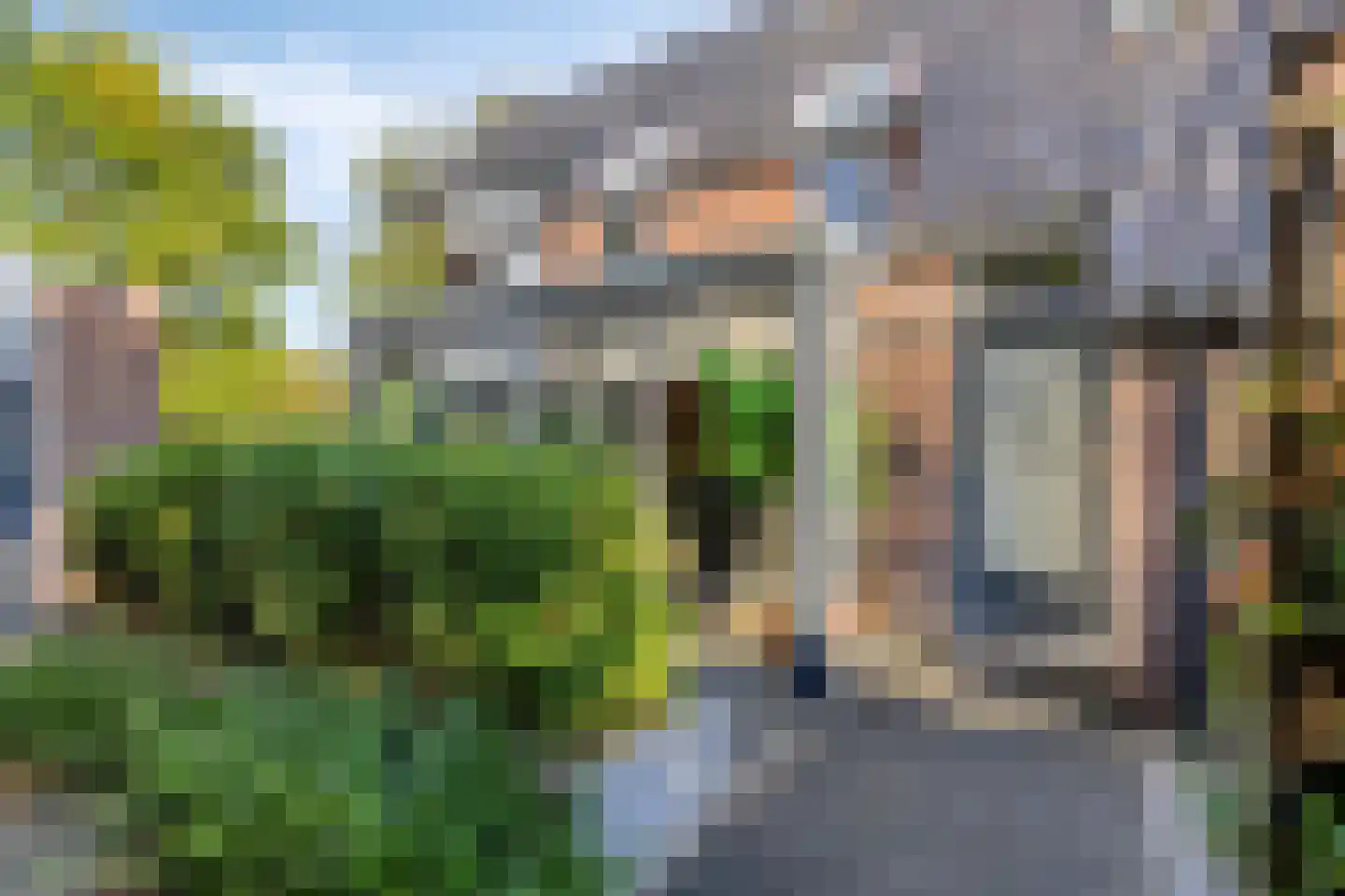Ter Borch 22 Zuidlaren thumbnail 9