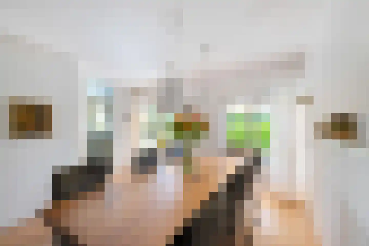 Ter Borch 36 Zuidlaren thumbnail 14