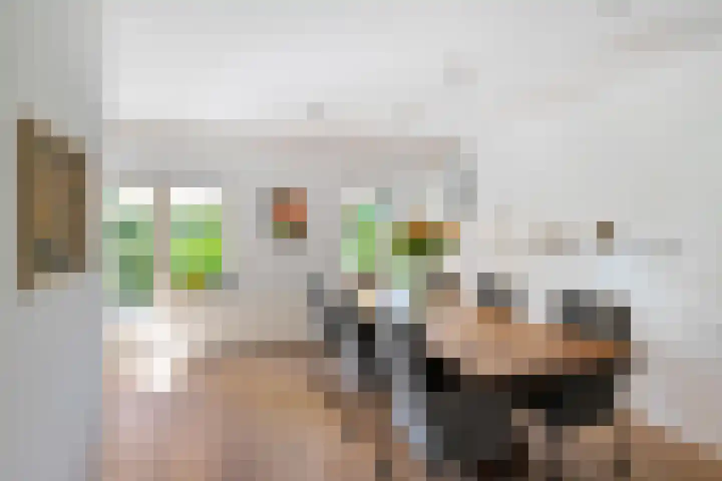 Ter Borch 36 Zuidlaren thumbnail 15