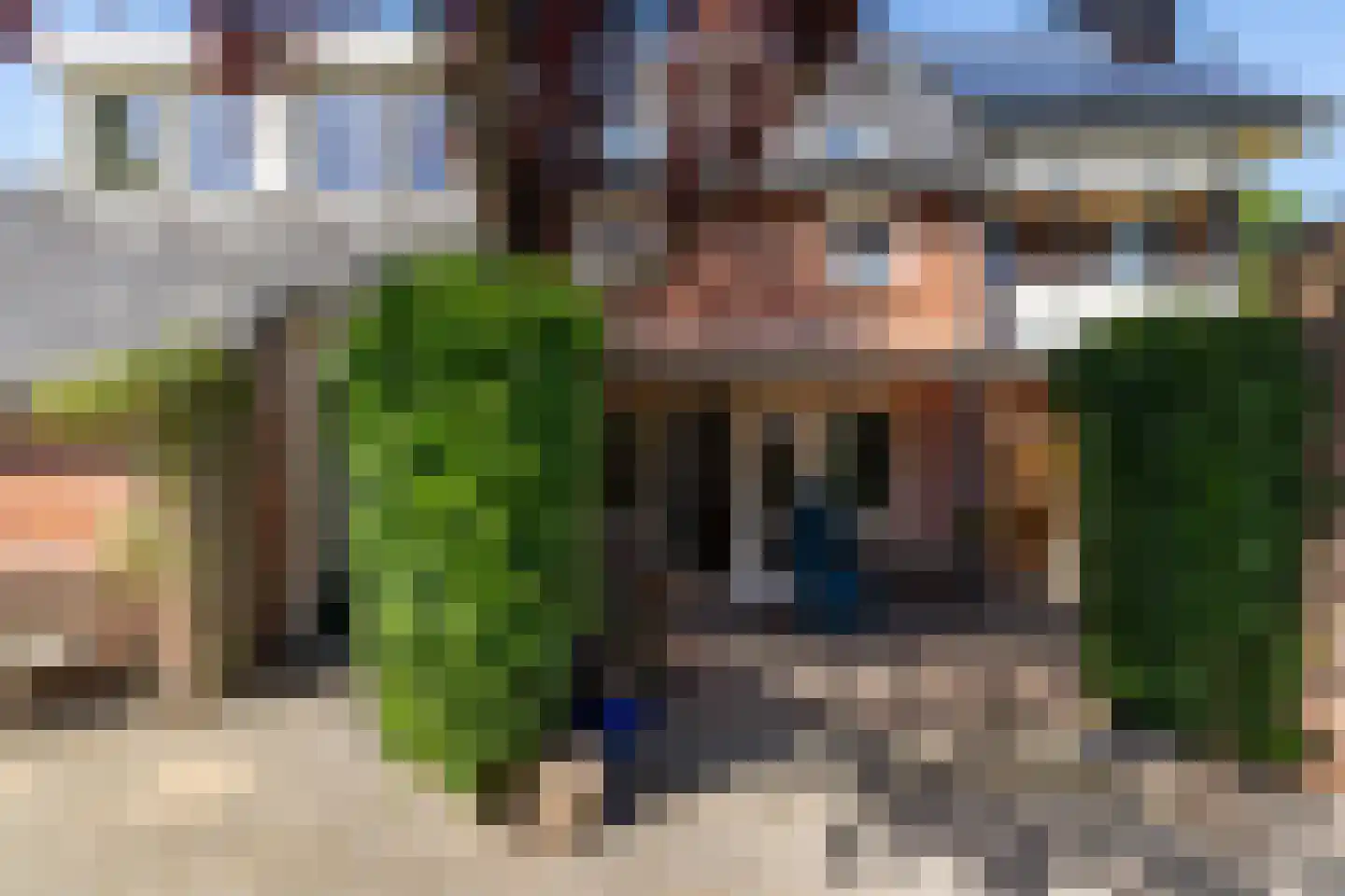 Ter Borch 36 Zuidlaren thumbnail 21