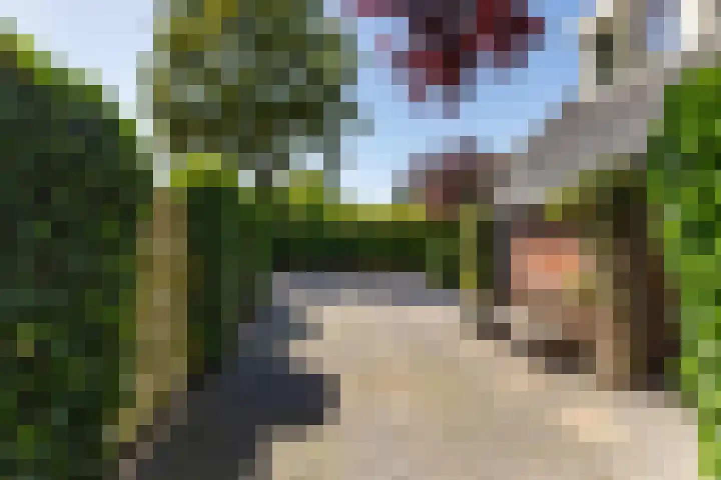 Ter Borch 36 Zuidlaren thumbnail 22