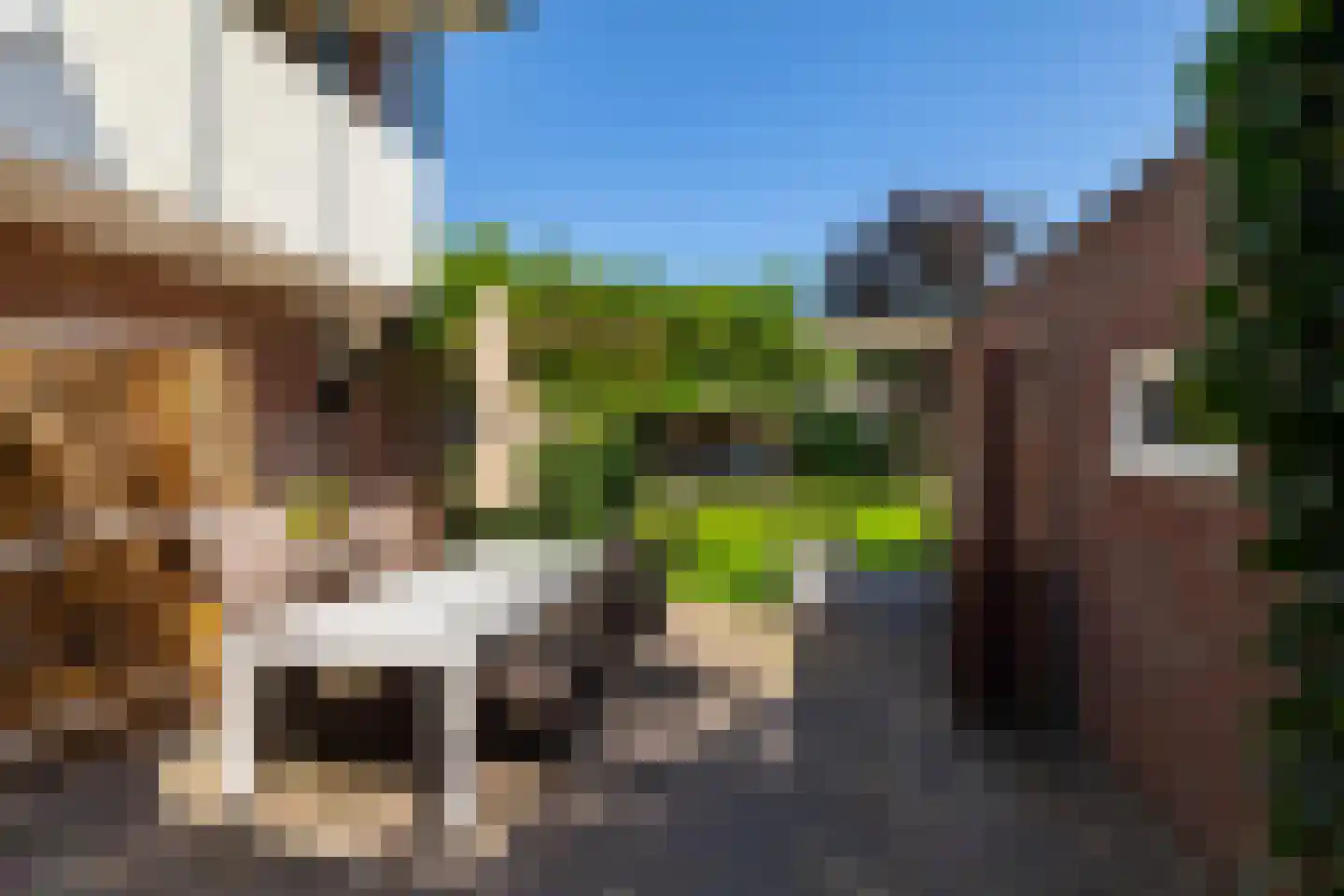 Ter Borch 36 Zuidlaren thumbnail 23