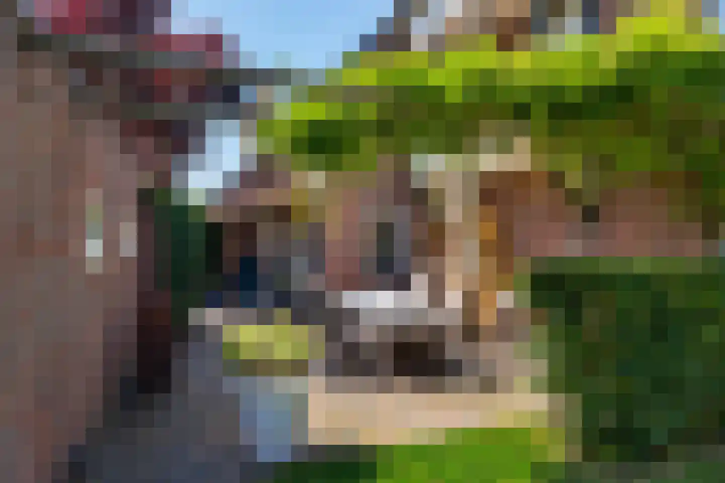 Ter Borch 36 Zuidlaren thumbnail 25