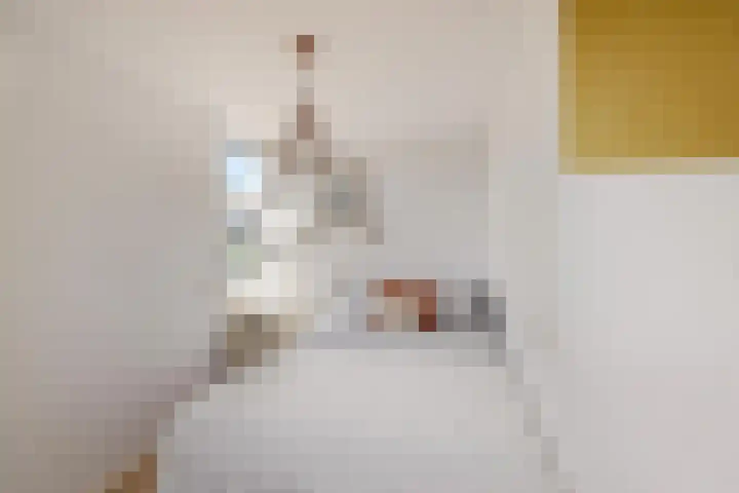 Ter Borch 36 Zuidlaren thumbnail 32