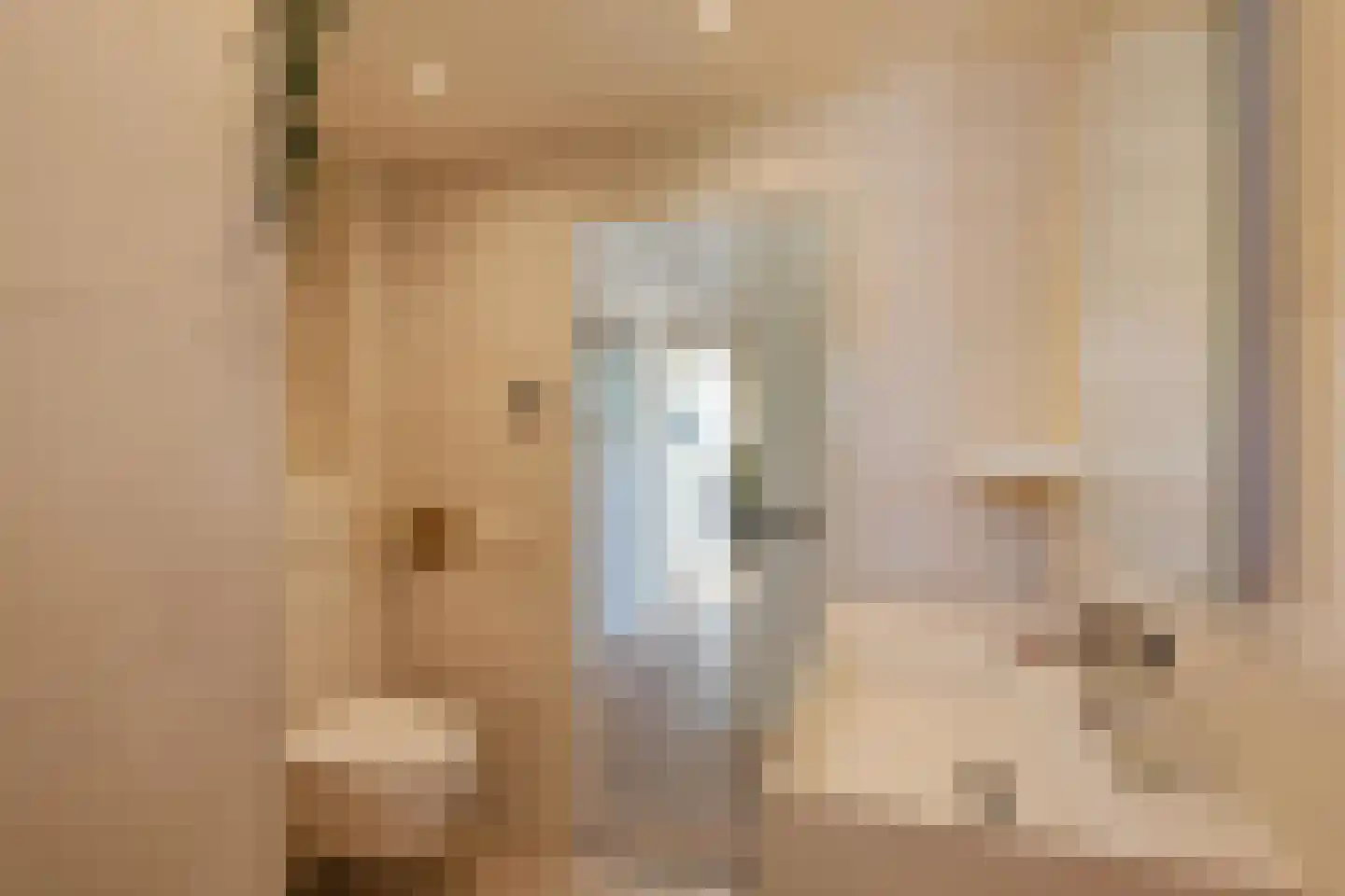 Ter Borch 36 Zuidlaren thumbnail 37