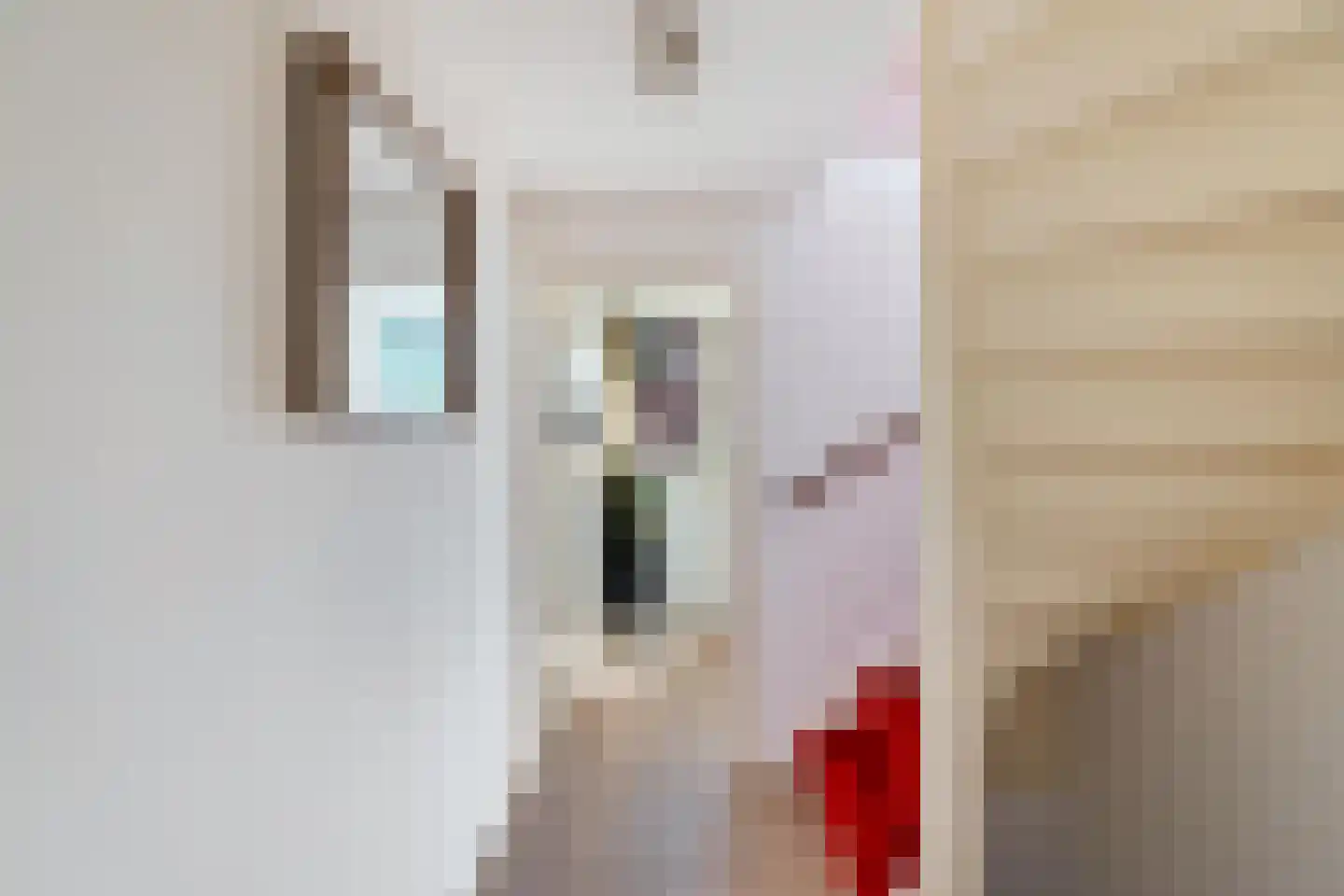 Ter Borch 36 Zuidlaren thumbnail 38
