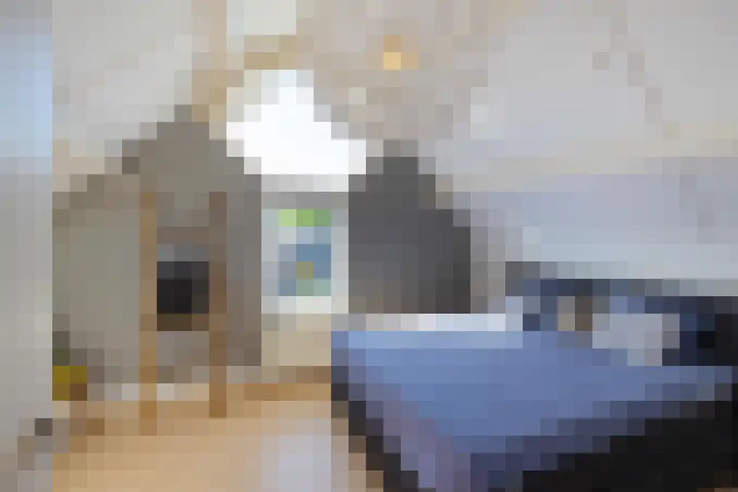 Ter Borch 36 Zuidlaren thumbnail 39