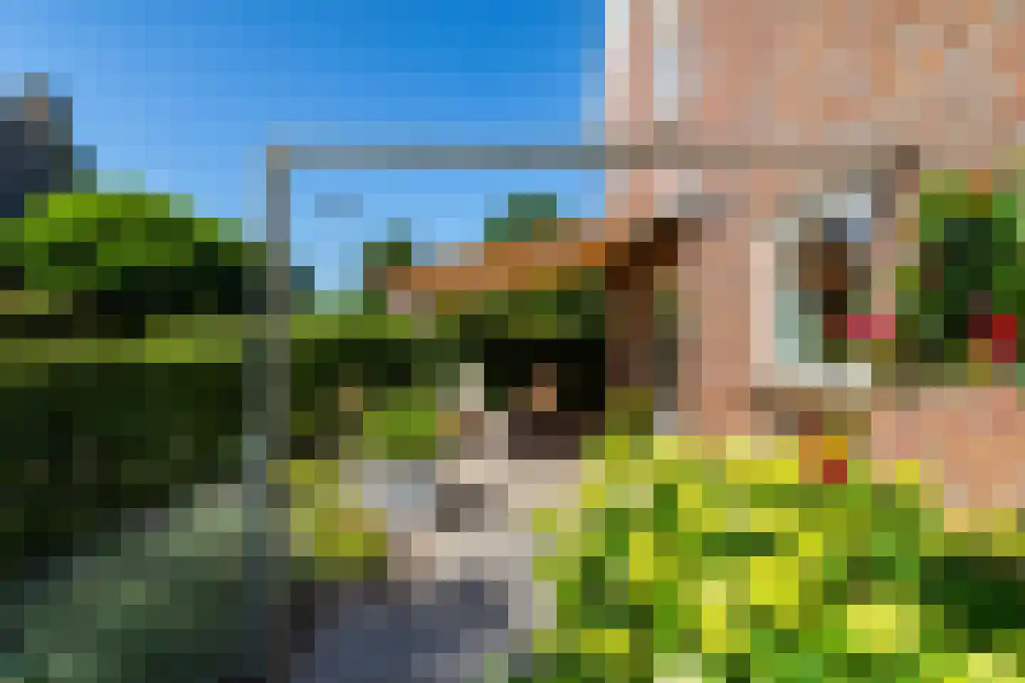 Ter Borch 36 Zuidlaren thumbnail 4