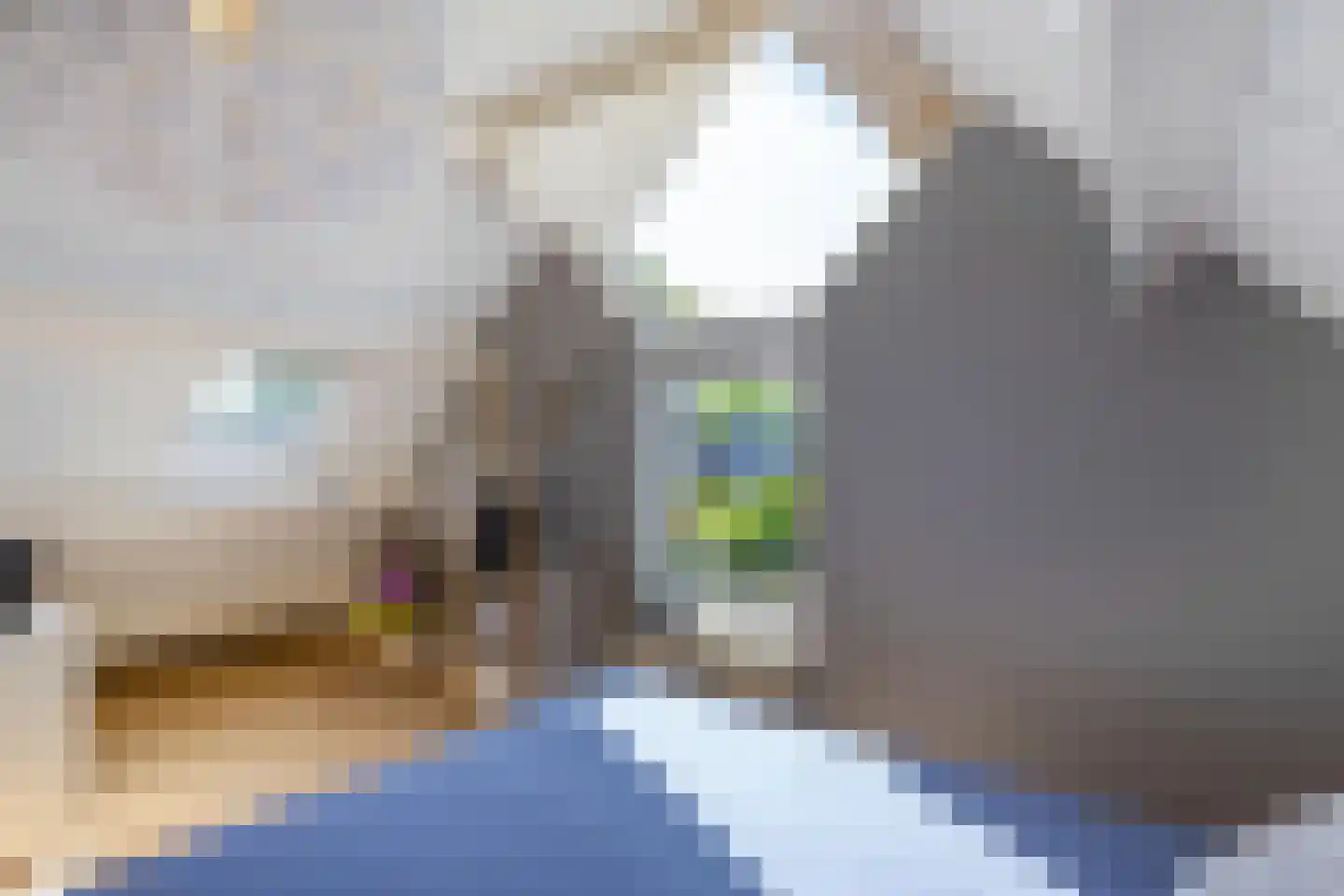 Ter Borch 36 Zuidlaren thumbnail 40