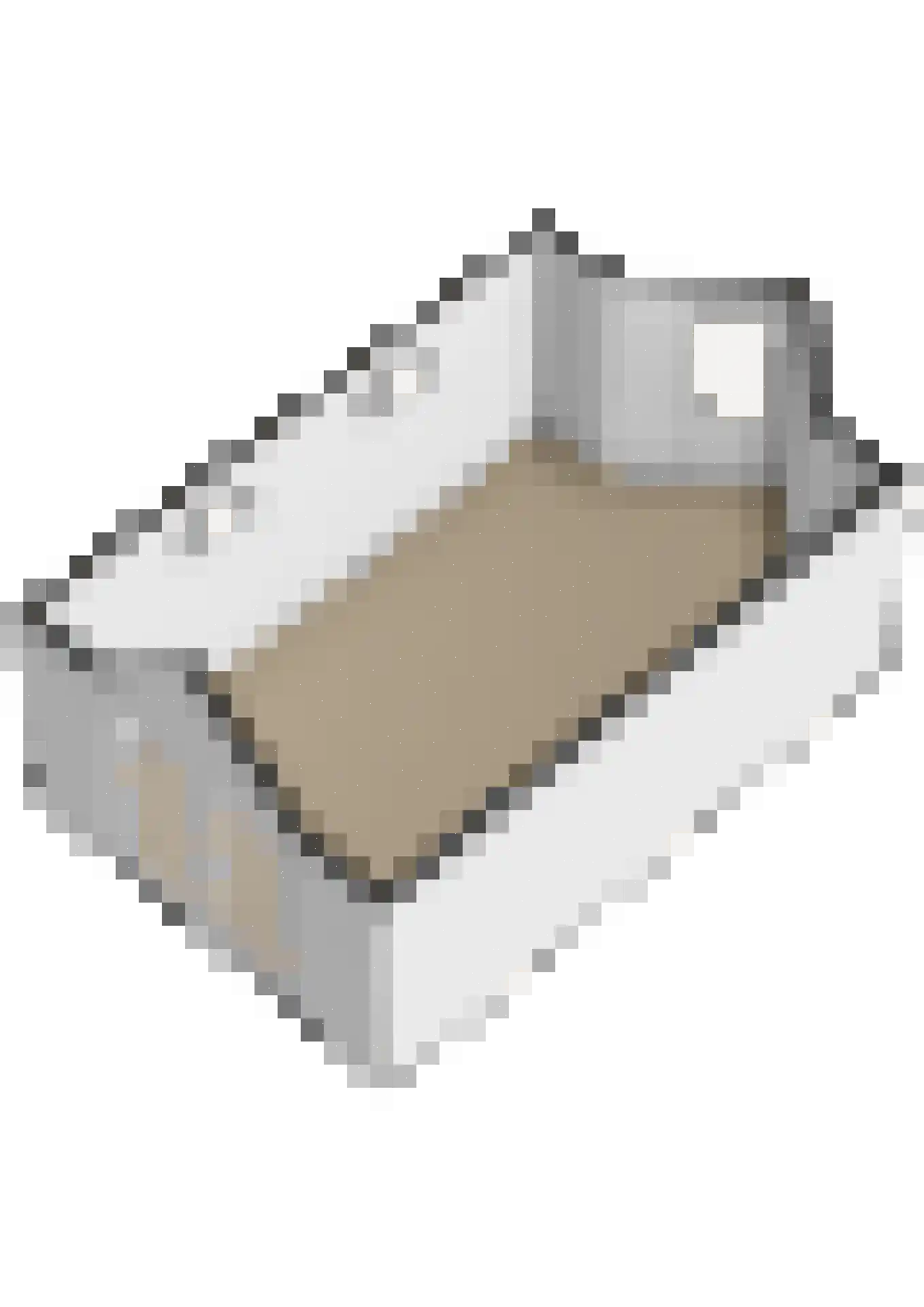 Ter Borch 36 Zuidlaren thumbnail 48