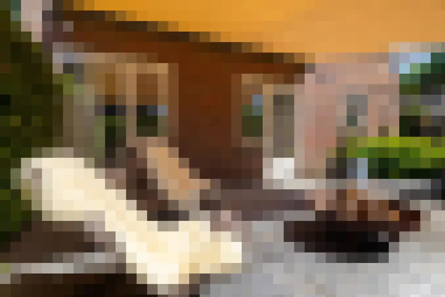 Ter Borch 36 Zuidlaren thumbnail 5