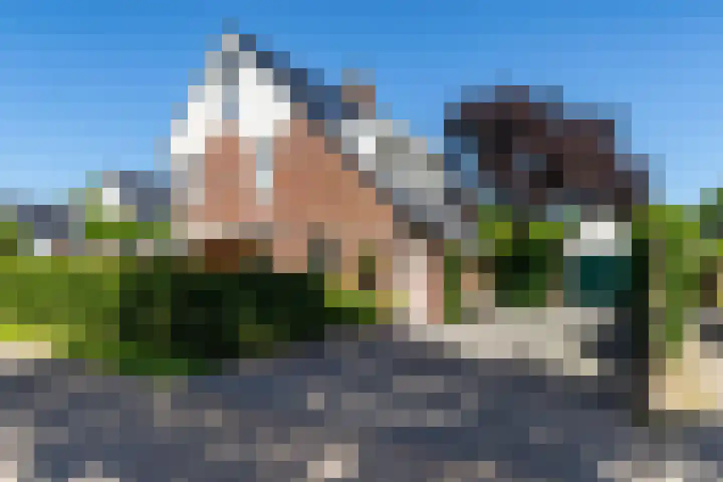 Ter Borch 36 Zuidlaren thumbnail 7