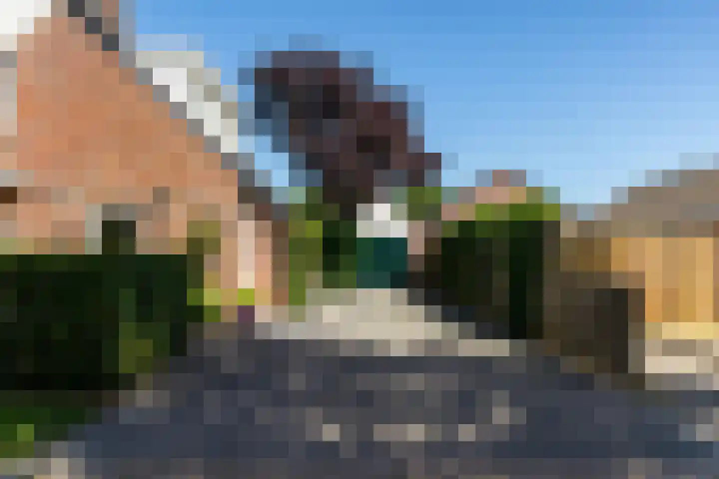 Ter Borch 36 Zuidlaren thumbnail 8