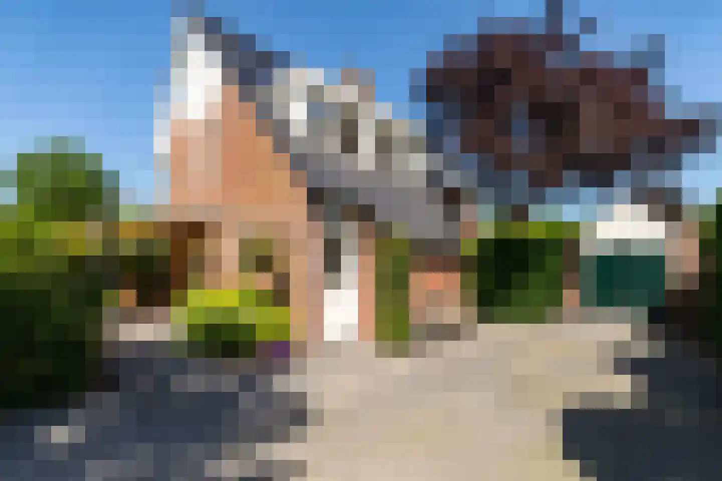 Ter Borch 36 Zuidlaren thumbnail 9