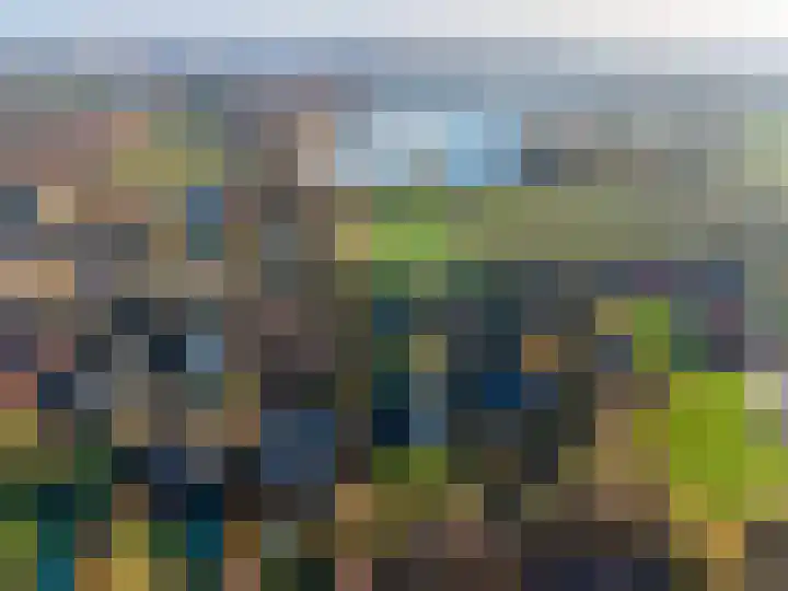 ter Borchlaan 50 Eelderwolde thumbnail 4