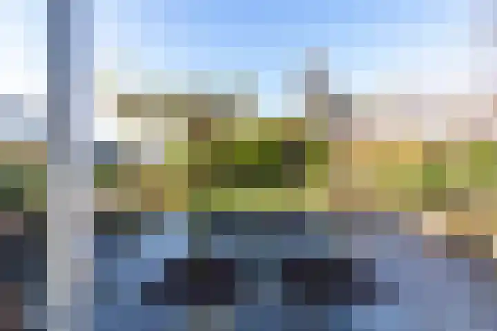ter Borchlaan 50 Eelderwolde thumbnail 48
