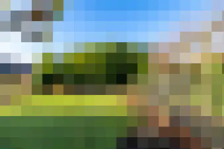 ter Borchlaan 50 Eelderwolde thumbnail 49