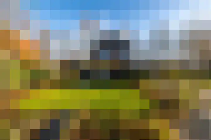 ter Borchlaan 50 Eelderwolde thumbnail 50