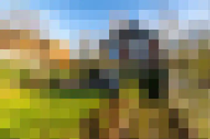 ter Borchlaan 50 Eelderwolde thumbnail 51