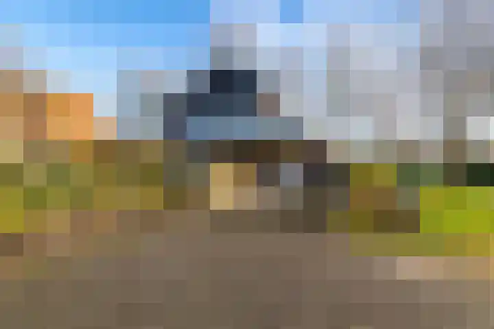 ter Borchlaan 50 Eelderwolde thumbnail 52