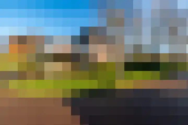 ter Borchlaan 50 Eelderwolde thumbnail 53
