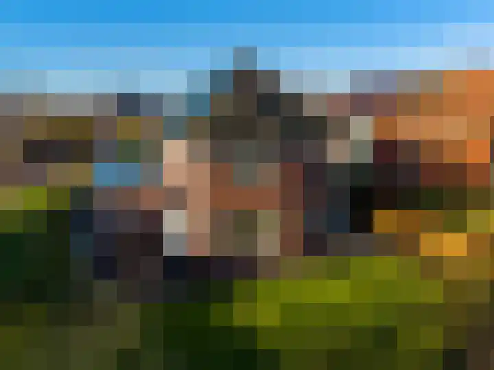 ter Borchlaan 50 Eelderwolde thumbnail 54