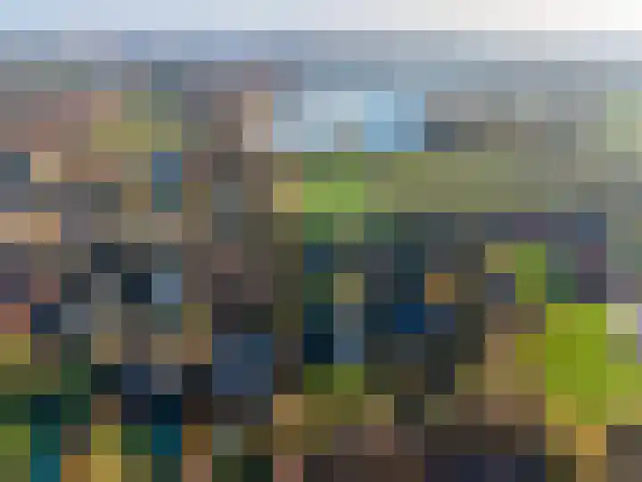 ter Borchlaan 50 Eelderwolde thumbnail 56