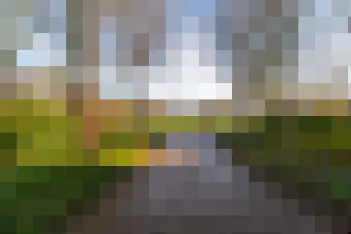 ter Borchlaan 50 Eelderwolde thumbnail 6