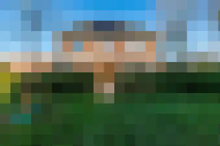 ter Borchlaan 50 Eelderwolde thumbnail 8
