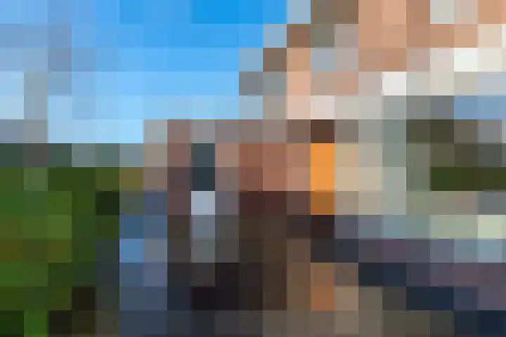 ter Borchlaan 50 Eelderwolde thumbnail 9