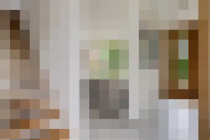 ter Borchlaan 6 Eelderwolde thumbnail 12