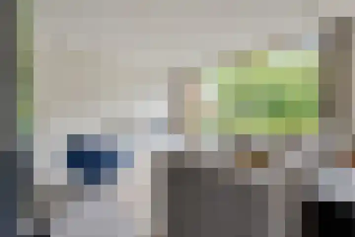 ter Borchlaan 6 Eelderwolde thumbnail 13