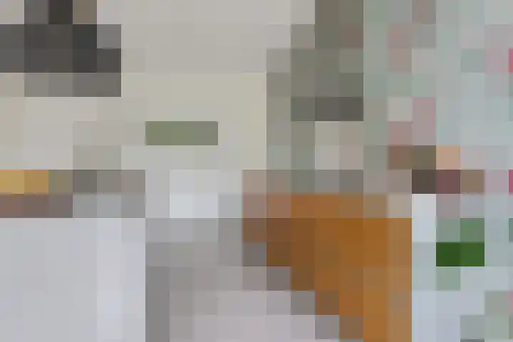 ter Borchlaan 6 Eelderwolde thumbnail 15