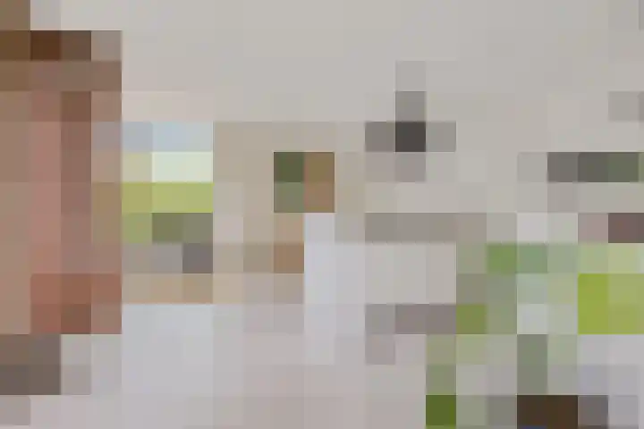 ter Borchlaan 6 Eelderwolde thumbnail 17