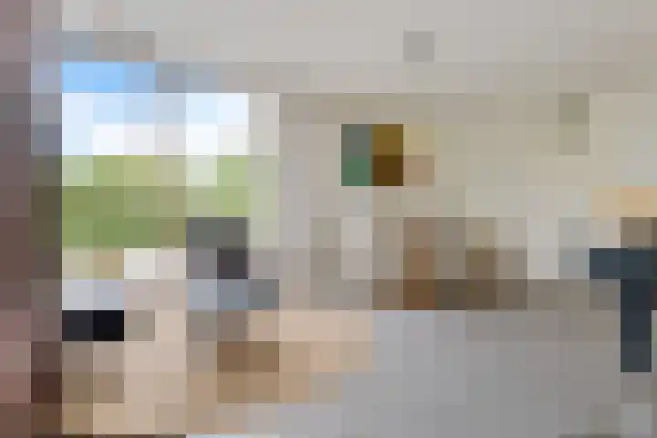 ter Borchlaan 6 Eelderwolde thumbnail 21