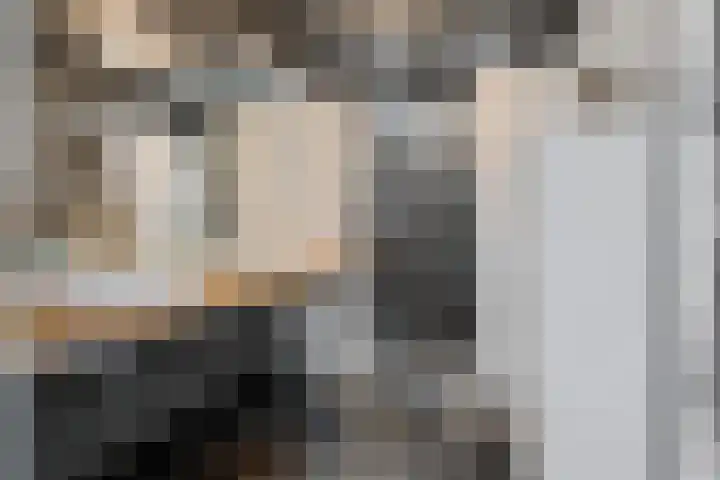 ter Borchlaan 6 Eelderwolde thumbnail 28