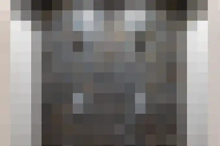 ter Borchlaan 6 Eelderwolde thumbnail 29