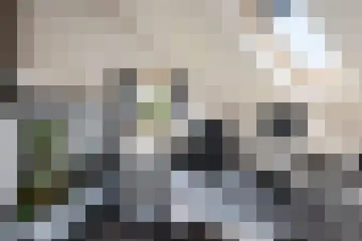 ter Borchlaan 6 Eelderwolde thumbnail 32