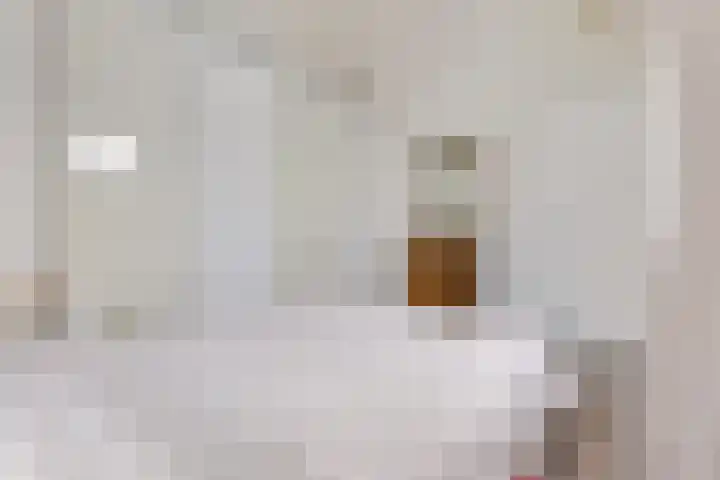 ter Borchlaan 6 Eelderwolde thumbnail 35