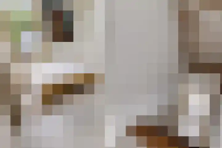 ter Borchlaan 6 Eelderwolde thumbnail 37