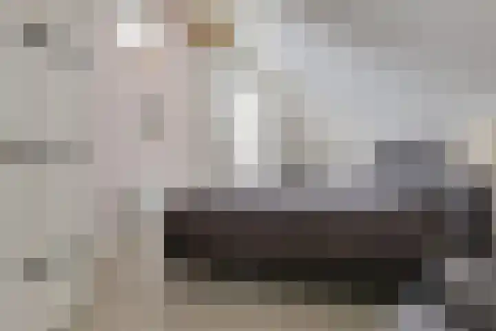 ter Borchlaan 6 Eelderwolde thumbnail 40
