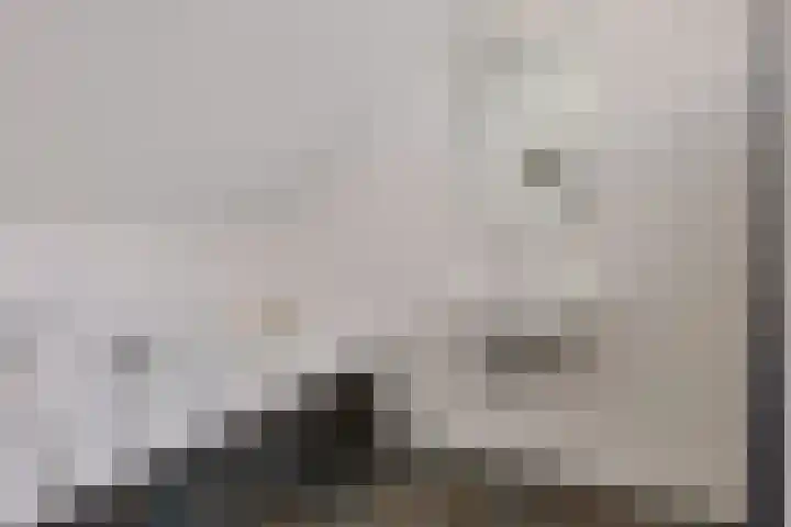 ter Borchlaan 6 Eelderwolde thumbnail 41