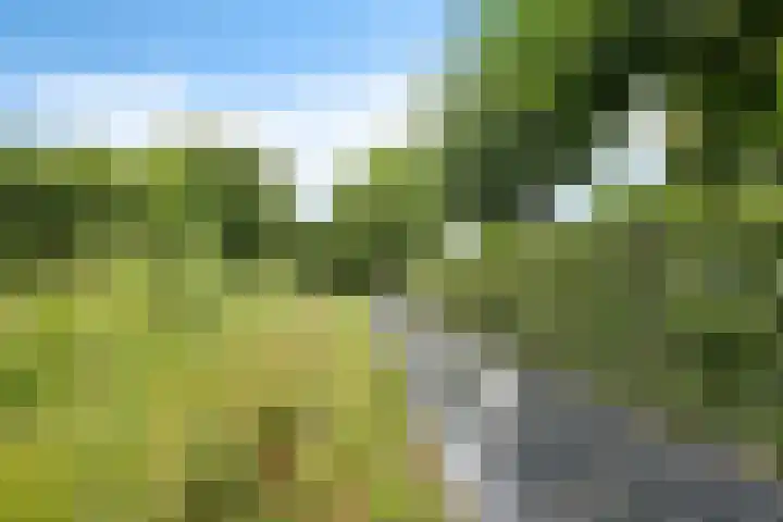 ter Borchlaan 6 Eelderwolde thumbnail 43