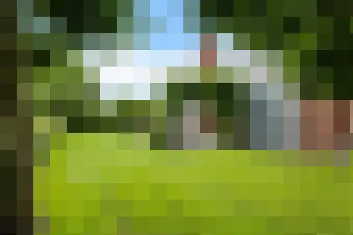 ter Borchlaan 6 Eelderwolde thumbnail 44
