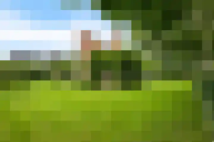 ter Borchlaan 6 Eelderwolde thumbnail 46