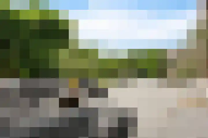 ter Borchlaan 6 Eelderwolde thumbnail 47