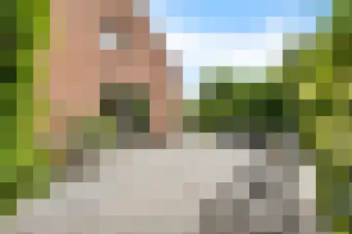 ter Borchlaan 6 Eelderwolde thumbnail 48
