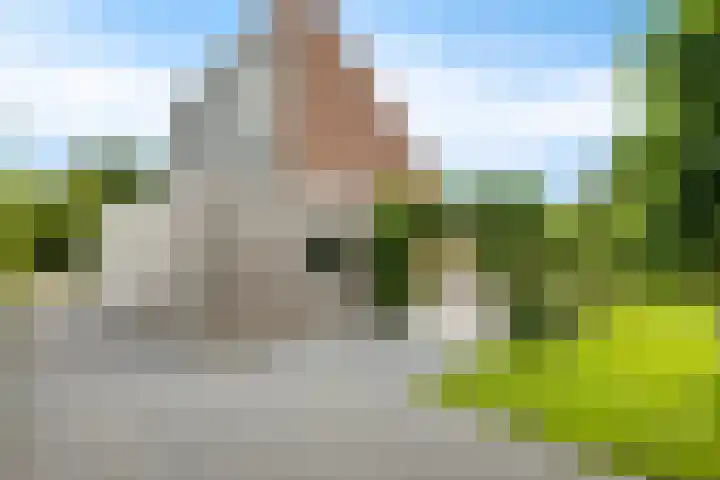 ter Borchlaan 6 Eelderwolde thumbnail 49