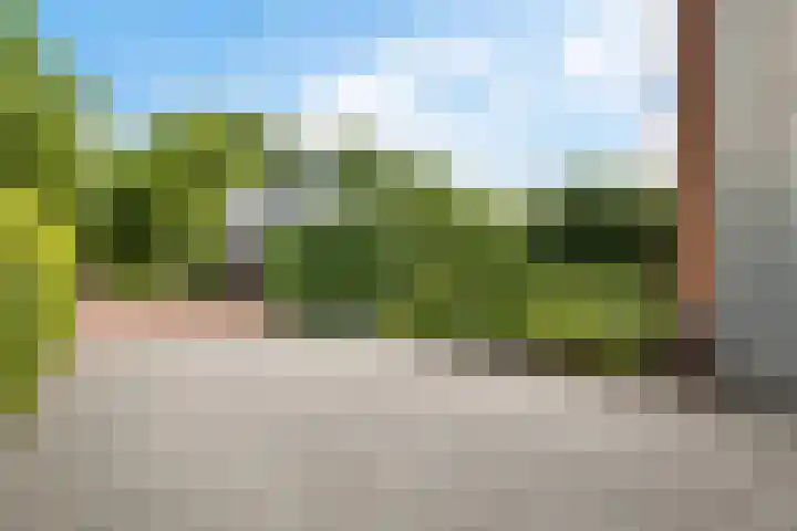 ter Borchlaan 6 Eelderwolde thumbnail 5